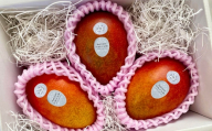［先行受付］訳あり おとふけ産マンゴー「白銀の太陽プレミアム」2kg ( 6～8玉 ) 【 D68 】 《2026年11月上旬より発送開始予定》