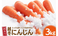 にんじん 訳あり 3kg 北陸富山の越冬人参！【期間限定発送】[マッキーファーム 富山県 朝日町 34310642] 人参 野菜 訳アリ ワケアリ わけあり 人参  ニンジン キャロット 3キロ やさい ヤサイ 常備野菜 国産 甘い あまい 不揃い ふぞろい