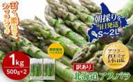【先行予約】【訳あり】露地物朝採りアスパラ 1kg（500g×2）鮮度保持フィルム入り(2027年5月中旬発送開始予定) 【 アスパラ アスパラガス 朝採り とれたて 野菜 旬 小分け 保存 産直 産地直送 お取り寄せ 旭川市 北海道 】_06553