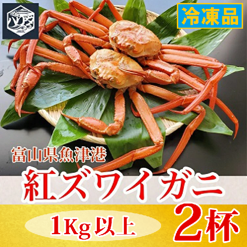 【冷凍】自社漁船直送！魚卸問屋の紅ズワイガニ 1kg以上×2ハイセット｜かに カニ 蟹 国産ずわい蟹 ずわいガニ 紅ズワイ蟹 紅ずわいがに 紅ずわい蟹 ボイル セットかにしゃぶ 魚貝類 魚介類 海鮮 鮮魚 新鮮 蟹飯 人気 豪華 ご褒美 贅沢 お取り寄せ グルメ カニ味噌 ※2026年9月～発送 2818732 - 富山県魚津市