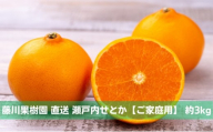数量限定 瀬戸内せとか 約3kg【ご家庭用】 みかん フルーツ 果物 柑橘類