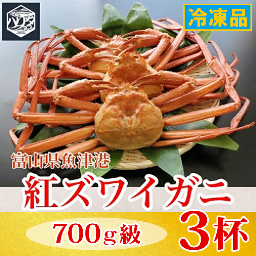 【冷凍】自社漁船直送！魚卸問屋の紅ズワイガニ 700g級×3ハイセット｜かに カニ 蟹 国産ずわい蟹 ずわいガニ 紅ズワイ蟹 紅ずわいがに 紅ずわい蟹 ボイル セットかにしゃぶ 魚貝類 魚介類 海鮮 鮮魚 新鮮 蟹飯 人気 豪華 ご褒美 贅沢 お取り寄せ グルメ カニ味噌 ※2026年9月～発送 2818799 - 富山県魚津市