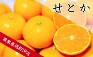 せとか（約5㎏）(A139-1)