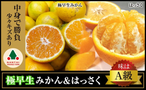 定期便 手さげ箱 セット 極早生 有田みかん ＆ はっさく 全2回 南泰園 みかん 2818845 - 和歌山県有田川町