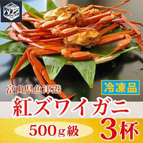 【冷凍】自社漁船直送！魚卸問屋の紅ズワイガニ 500g級×3ハイセット｜かに カニ 蟹 国産ずわい蟹 ずわいガニ 紅ズワイ蟹 紅ずわいがに 紅ずわい蟹 ボイル セットかにしゃぶ 魚貝類 魚介類 海鮮 鮮魚 新鮮 蟹飯 人気 豪華 ご褒美 贅沢 お取り寄せ グルメ カニ味噌 ※2026年9月～発送 2818846 - 富山県魚津市