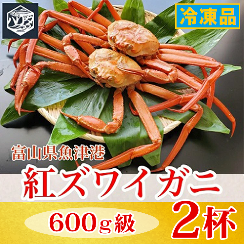 【冷凍】自社漁船直送！魚卸問屋の紅ズワイガニ 600g級×2ハイセット｜かに カニ 蟹 国産ずわい蟹 ずわいガニ 紅ズワイ蟹 紅ずわいがに 紅ずわい蟹 ボイル セットかにしゃぶ 魚貝類 魚介類 海鮮 鮮魚 新鮮 蟹飯 人気 豪華 ご褒美 贅沢 お取り寄せ グルメ カニ味噌 ※2026年9月～発送 2818847 - 富山県魚津市