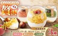 【通常発送】MontDeco Lab（モントデコ ラボ）Mont Can -もんかん- 栗きんとん・抹茶・あまおう 3個入り / モンブラン ケーキ 栗ケーキ スイーツ / 恵那市 / MAC [AUDM046]