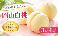 【2027年先行予約】岡山白桃＜光センサー選別＞最上級品《ロイヤル等級》1.2kg 4～8玉 糖度12度以上 品種お任せ ｜ 桃 もも 白桃 果物 くだもの フルーツ 岡山県産 贈答 ギフト momo【mrts014-01】