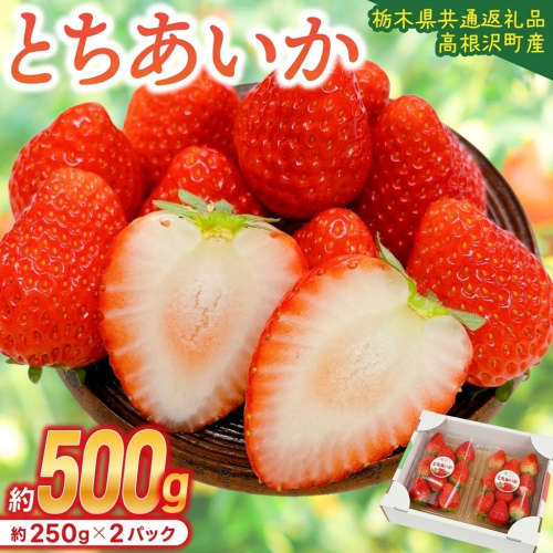 【先行予約】栃木県産 とちあいか (250g×2パック) 農家直送 家庭用 食べきり 和饗エコファーム【栃木県共通返礼品/高根沢町産】｜栃木県 ふるさと納税 いちご イチゴ 苺 旬 果物 フルーツ とちあいか(DW003) 2818959 - 栃木県益子町