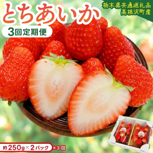 【先行予約】【3回定期便】栃木県産 とちあいか 合計1500g (250g×2パック✕3回) 農家直送 家庭用 和饗エコファーム【栃木県共通返礼品/高根沢町産】｜定期便 栃木県 ふるさと納税 いちご イチゴ 苺 旬 果物 フルーツ とちあいか(DW004) 2818960 - 栃木県益子町