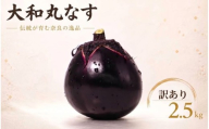 【選べる容量】 大和丸なす 茄子 丸なす なす 約2.5kg 8～11個 訳あり 品質変わらず 定番サイズ 家庭用 お手軽 伝統野菜 肉厚 松本農園 奈良県 奈良市 奈良 なら