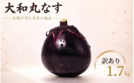 【選べる容量】 大和丸なす 茄子 丸なす なす 約1.7kg 訳あり 品質変わらず 家庭用 気軽 伝統野菜 肉厚 松本農園 奈良県 奈良市 奈良 なら