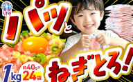 【2027年3月発送】訳アリ 福島製造 ねぎとろ使い切りパック 約1kg（約40g×24パック） ｜ ネギトロ 簡単 調理 いわき市 福島県 小分け 冷凍 個包装 使い切りパック 1人前 まぐろたたき まぐろ