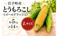【先行予約】とうもろこし ゴールドラッシュ Lサイズ 約5kg 約14本 岩手県岩手町産 スイートコーン トウモロコシ とうきび コーン 野菜 夏野菜 産地直送 2027年発送