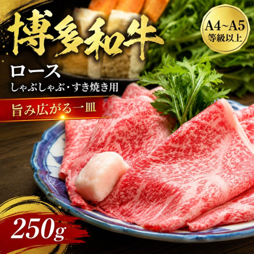 【厳選部位】【A4～A5】博多和牛ロースしゃぶしゃぶすき焼き用 250g | 牛肉 ブランド牛 国産 和牛 福岡 博多 すき焼き しゃぶしゃぶ CP058a 2819363 - 福岡県大木町