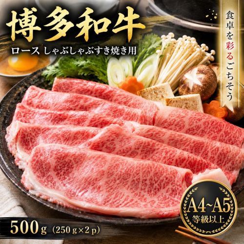 【厳選部位】【A4～A5】博多和牛ロースしゃぶしゃぶすき焼き用 500g (250g×2p) | 牛肉 ブランド牛 国産 和牛 福岡 博多 すき焼き しゃぶしゃぶ CP058b 2819367 - 福岡県大木町