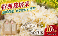 【令和8年産】 真庭市産コシヒカリ 米ぬか 牡蠣栽培米 『 一心良米 』 玄米 10kg (5kg×2袋） / お米 いっしんりょうまい 岡山県 こしひかり 人気 ブランド 2026年産 【tkns022-01】