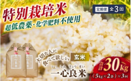 ＜全3回定期便＞ 真庭市産コシヒカリ 米ぬか 牡蠣栽培米 『 一心良米 』 玄米 10kg (5kg×2袋）×3回 令和8年産 / お米 いっしんりょうまい 岡山県 こしひかり 人気 ブランド 2026年産 【tkns-tkb052】