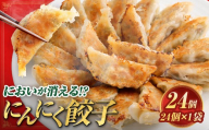 においが消える！？にんにく餃子 24個✕1袋  海藻抽出物 消臭技術 餃子 ギョーザ にんにく ニンニク 金子式201 冷凍 冷凍食品 おつまみ 夕食 家庭料理 お惣菜