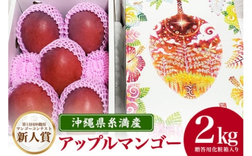【2023年発送】沖縄県糸満産の「濃厚アップルマンゴー」2kg　オリジナル贈答用化粧箱入り　生産者：ゆいぐくるマンゴー
