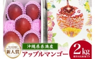 【2024年発送】沖縄県糸満産の「濃厚アップルマンゴー」2kg　オリジナル贈答用化粧箱入り　生産者：ゆいぐくるマンゴー