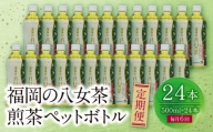 P26-82 福岡の八女茶 煎茶ペットボトル(24本)定期便(毎月×6回)