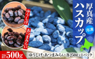 北海道厚真町産 冷凍ハスカップ 2種食べ比べセット 計500g（250g×2パック）《厚真町》　【とまこまい広域農業協同組合】　ハスカップ ゆうしげ あつまみらい R8年産 フルーツ 果物 冷凍 北海道 [AXAB085]