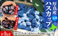 北海道厚真町産 冷凍ハスカップ 2種食べ比べセット 計1kg（250g×4パック）《厚真町》　【とまこまい広域農業協同組合】　ハスカップ ゆうしげ あつまみらい R8年産 フルーツ 果物 冷凍 北海道 [AXAB086]