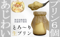 BA-18.【もんちっち】あじわいプリン（6個入）