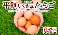 裏庭たまご10個×2P(12回) うらにわ自然たまご園