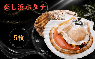 【11月より順次発送開始】 恋し浜ホタテ 5枚 冷蔵 帆立 貝柱 ほたて 刺身 おさしみ 刺し身 鍋 お鍋 バーベキュー BBQ 炙り 炙り焼き バター焼き 出汁 夕飯 おかず おつまみ 晩酌 海産物 海鮮 魚介 魚介類 大船渡 三陸 岩手県 国産