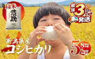 最短3日発送 新米 コシヒカリ 5kg 新潟県産 特別栽培米 単品 コンテスト 入賞 新潟 ふるさと納税 米 お米 特別栽培 白米 米 お米 こめ コメ ライス ご飯 ごはん 美味しい 贈り物 国産 新潟県 新発田市 お取り寄せ 産地直送 kwsKH002_01_F