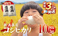 最短3日発送 新米 コシヒカリ 10kg 新潟県産 特別栽培米 単品 コンテスト 入賞 新潟 ふるさと納税 米 お米 特別栽培 白米 米 お米 こめ コメ ライス ご飯 ごはん 美味しい 贈り物 国産 新潟県 新発田市 お取り寄せ 産地直送 kwsKH003_01_F