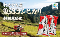 【6か月定期便 魚沼産コシヒカリ 錦鯉デザイン】令和8年産 新米 コシヒカリ 特別栽培米 棚田米 精米 合計60kg（10kg×毎月お届け全6回） 錦鯉発祥の地・小千谷 | 魚沼産こしひかり 魚沼コシヒカリ 新潟県産コシヒカリ 新潟産コシヒカリ 錦鯉 縁起物 内祝い お米 米 白米 新潟県 小千谷市 【0002-WA06DB00】