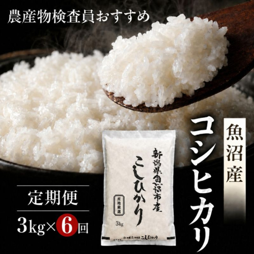 農産物検査員お奨め 魚沼産こしひかり （精米） 3kg 6ヶ月 連続お届け （ 米 定期便 コシヒカリ 魚沼産 精米 白米 お米 こめ コメ こしひかり 魚沼 半年 6回 お楽しみ ） 2822696 - 新潟県魚沼市