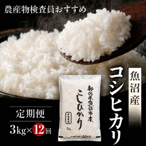 農産物検査員お奨め 魚沼産 こしひかり 精米 3kg 12ヶ月 連続お届け （ 米 定期便 コシヒカリ お米 定期 新潟 魚沼 魚沼産コシヒカリ 魚沼産こしひかり こめ コメ おこめ 白米 お楽しみ 12回 ） 新潟県 2822700 - 新潟県魚沼市