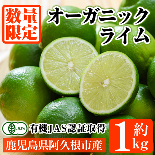 数量限定！有機JAS オーガニックライム(約1kg) 国産 果実 果物 フルーツ 柑橘 デザート 期間限定 有機栽培 健康志向 【中村農場】akn084-12 2822705 - 鹿児島県阿久根市
