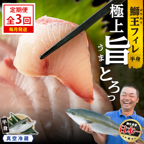 ＜定期便・毎月発送 全3回＞「鰤王」 フィレ 半身 (フィレ1枚) 定期便 約0.8kg～ 鹿児島県 長島町 産産地直送 新鮮 ブランド ぶり 鰤 ブリ 切り身 刺身 ぶりしゃぶ しゃぶしゃぶ 魚 魚介 人気 ランキング【JFA】jfa-7006S 2822706 - 鹿児島県長島町