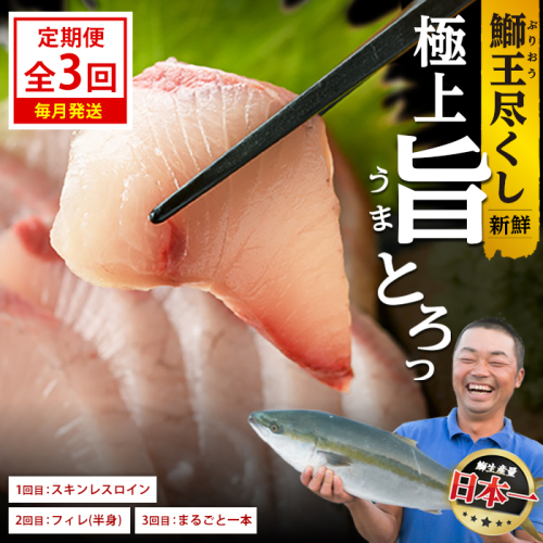 ＜定期便・毎月発送 全3回＞「鰤王」 最後は丸ごと一本！ 定期便 鹿児島県 長島町 産産地直送 新鮮 ブランド ぶり 鰤 ブリ 切り身 刺身 ぶりしゃぶ しゃぶしゃぶ 魚 魚介 人気 ランキング【JFA】jfa-1681S 2822708 - 鹿児島県長島町