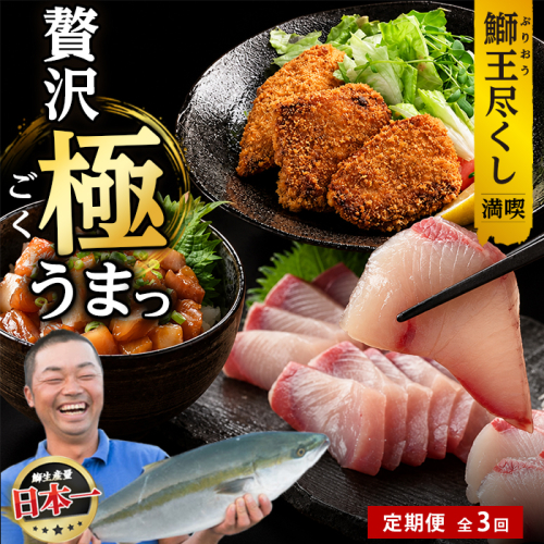 ＜定期便・毎月発送 全3回＞「鰤王」づくし 満喫定期便 鹿児島県 長島町 産産地直送 新鮮 ブランド ぶり 鰤 ブリ 切り身 刺身 ぶりしゃぶ しゃぶしゃぶ 魚 魚介 人気 ランキング【JFA】jfa-1682S 2822709 - 鹿児島県長島町
