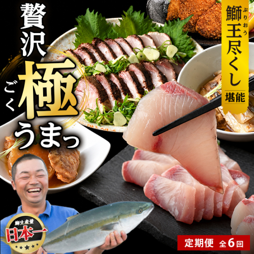＜定期便・毎月発送 全6回＞「鰤王」を味わいつくす定期便 鹿児島県 長島町 産産地直送 新鮮 ブランド ぶり 鰤 ブリ 切り身 刺身 ぶりしゃぶ しゃぶしゃぶ 魚 魚介 人気 ランキング 鰤カツ 漬け魚 漬け丼 鰤大根 あら煮【JFA】jfa-1683S 2822710 - 鹿児島県長島町