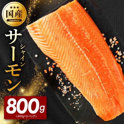 シャインサーモン 800g（400g×2P）【国産 小分け さーもん 鮭 さけ シャケ しゃけ 冷凍 サイズ不揃い 訳あり】 G5603 2822726 - 大阪府泉佐野市
