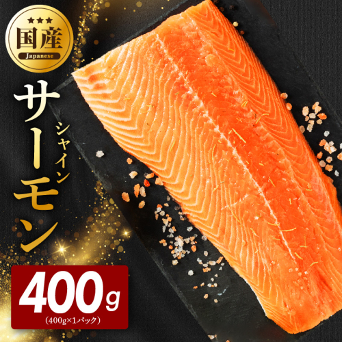 シャインサーモン 400g×1P【国産 小分け さーもん 鮭 さけ シャケ しゃけ 冷凍 サイズ不揃い 訳あり】 G5602 2822727 - 大阪府泉佐野市