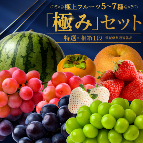 極上フルーツ 5〜7種 プレミアム セット【桐箱入り1段】(茨城県共通返礼品) 田舎の頑固おやじが厳選！ 人気 厳選 果物 くだもの 旬 旬の果物 旬のフルーツ 上級品 極上 贅沢 極み フルーツ フルーツセット ギフト プレゼント 贈り物 冷蔵 [BI485-NT] 2822745 - 茨城県つくばみらい市