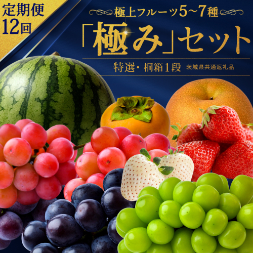 毎月お届け！【1年間】 定期便 極上フルーツ5〜7種 プレミアム セット【桐箱入り1段】(茨城県共通返礼品) 田舎の頑固おやじが厳選！ 人気 厳選 果物 くだもの 旬 旬の果物 旬のフルーツ 上級品 極上 贅沢 極み フルーツ フルーツセット ギフト プレゼント 贈り物 冷蔵 [BI486-NT] 2822746 - 茨城県つくばみらい市