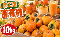 【加工用・訳あり】富有柿 10kg 令和8年産 先行予約｜柿 かき カキ ふゆうがき ジャム・プリン・スムージー用 フードロス削減 岐阜県本巣市 福井農園【2026年12月頃から発送予定】