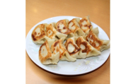 自家製餃子  32g×20個 1パック【1625546】