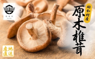 昭和村産原木しいたけ200g×12パック 椎茸 しいたけ きのこ 茸 料理 調理 ご飯 ごはん 原木しいたけ 野菜【青木農園】