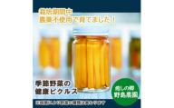【東京都東久留米市】季節の野菜を詰め込んだ健康ピクルス 150g×1本【1461146】