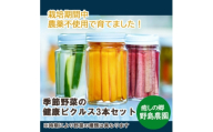 【東京都東久留米市】季節の野菜を詰め込んだ健康ピクルス 150g×3本【1461149】